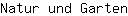 N***n