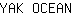Y***N