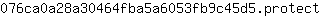 0***t