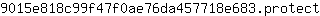 9***t