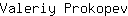 V***v