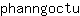 p***u