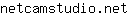n***t