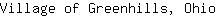 V***o