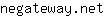 n***t