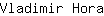 V***a