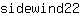 s***2