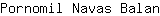 P***n