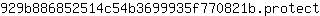 9***t