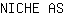 N***S