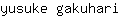 y***i