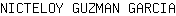 N***A