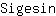 S***n