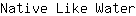 N***r