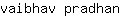 v***n