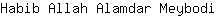 H***i