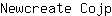 N***p