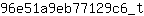 9***t