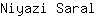 N***l