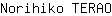 N***O