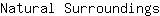 N***s
