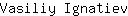 V***v