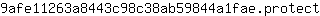 9***t
