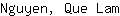 N***m