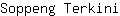 S***i