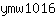 y***6
