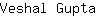 V***a