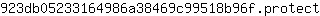 9***t