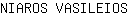 N***S