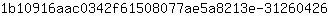 1***6