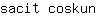 s***n