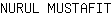 N***T
