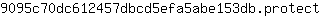 9***t