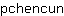 p***n