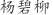 杨***柳