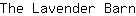 T***n