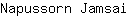 N***i