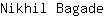 N***e