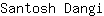 S***i