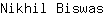 N***s
