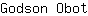 G***t