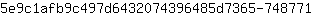 5***1