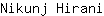 N***i