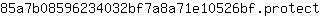 8***t
