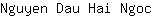 N***c