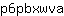 p***a